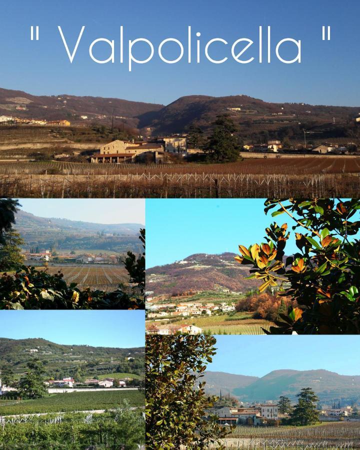 Grappoli Della Valpolicella Bed & Breakfast Negrar Exterior photo